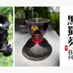 黑蜀葵：大自然最美的馈赠！