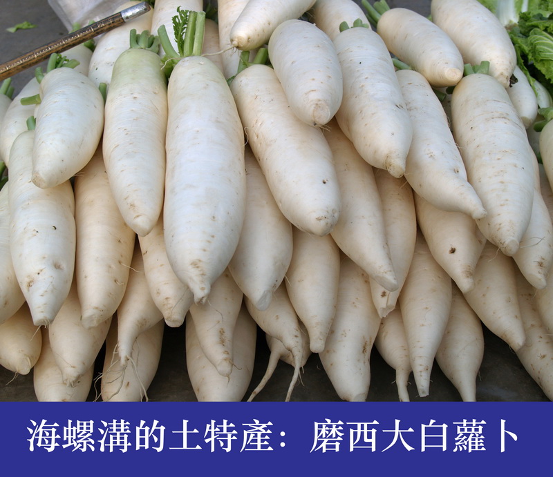 78_调整大小.jpg
