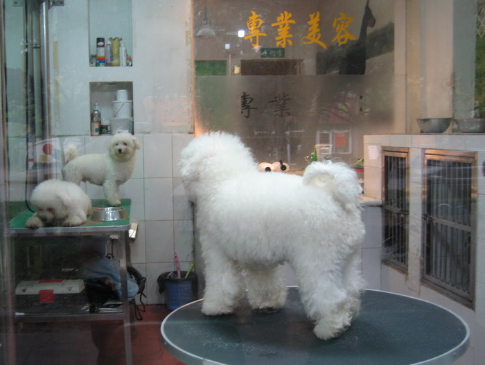 IMG_4879_调整大小.JPG
