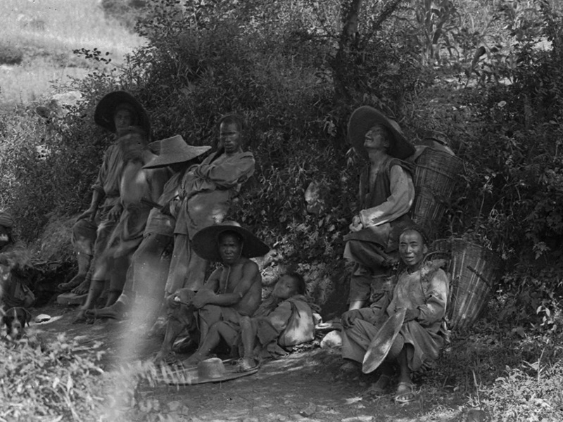 1908-08-03中国云南滇皂荚 局部_调整大小.jpg