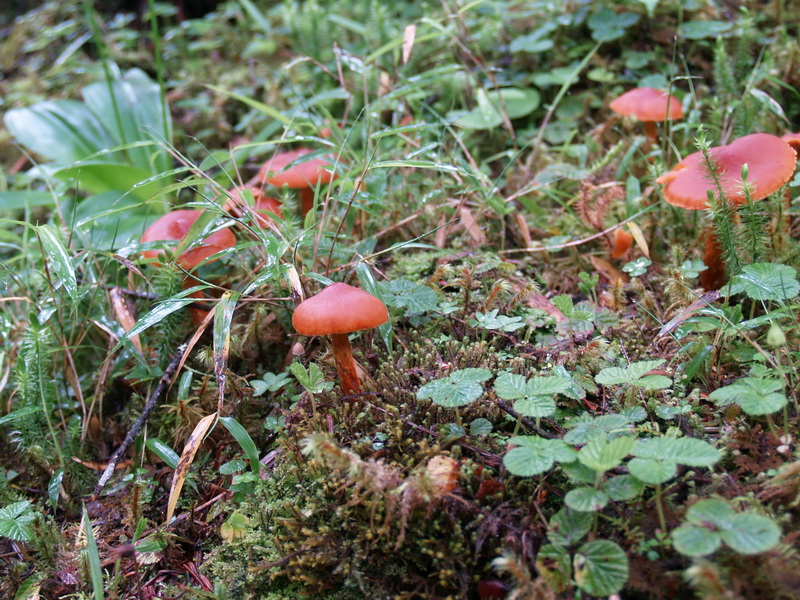 P6221516_调整大小.JPG