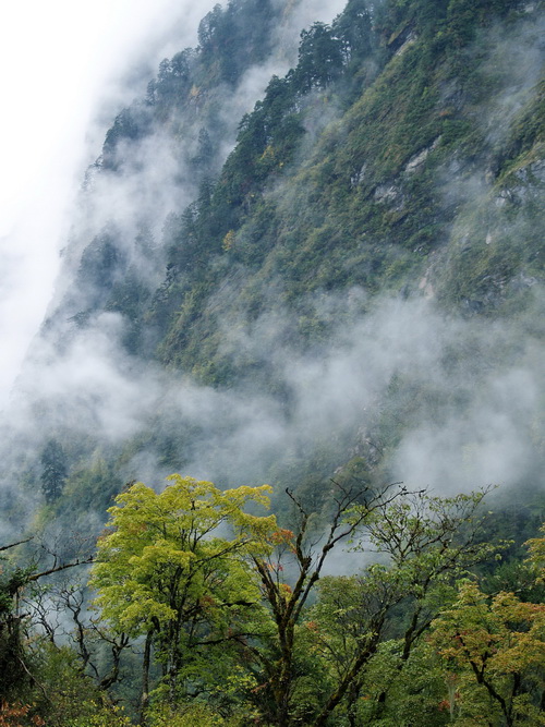 PA204502_调整大小.JPG