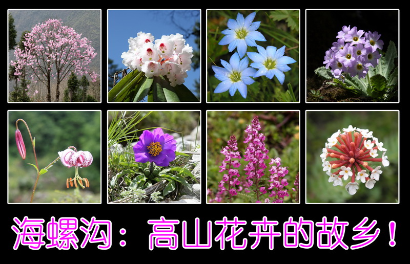 27封底_调整大小_调整大小.JPG