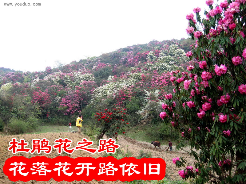 IMG_3449_调整大小.jpg