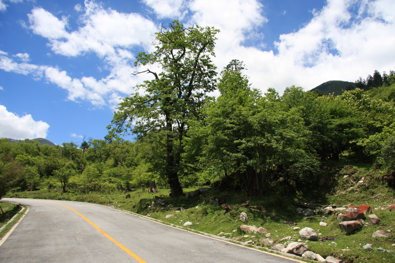 IMG_8598_调整大小.JPG