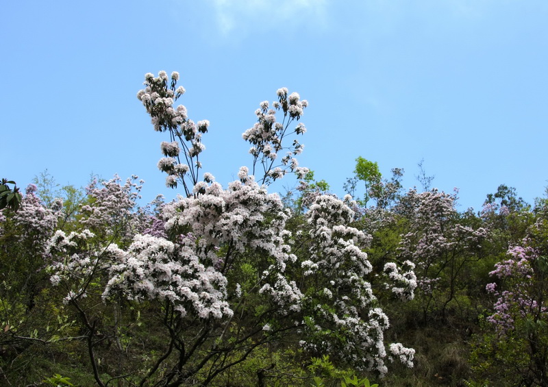 IMG_1919_调整大小.jpg