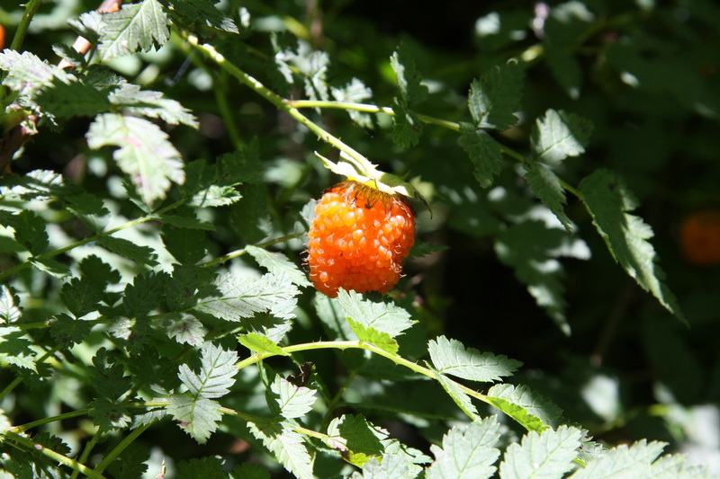 IMG_2407_调整大小.JPG
