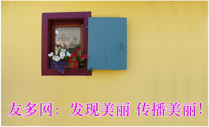 3978_调整大小.jpg