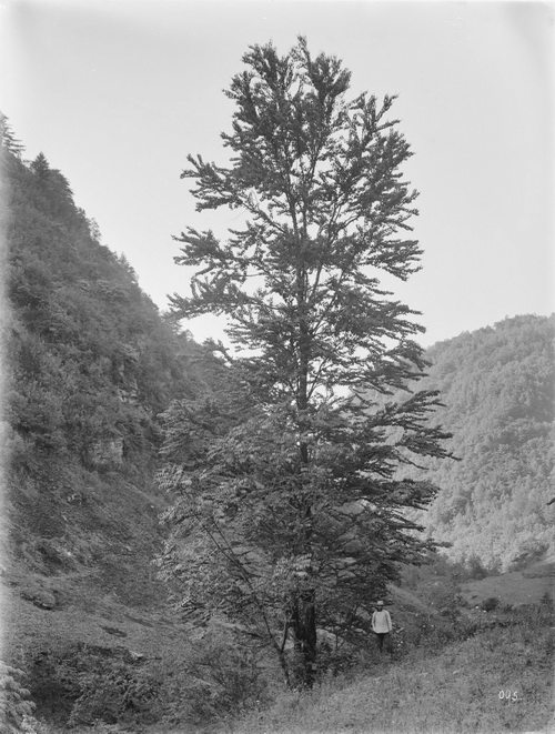 095 1910-06-16湖北省  房县_调整大小.jpg