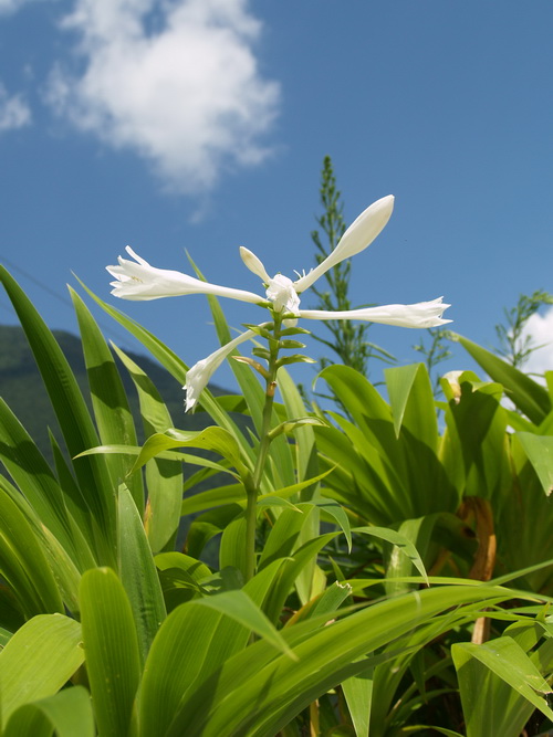 P7266551_调整大小.JPG