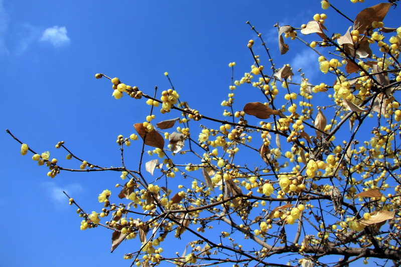 IMG_8201_调整大小.JPG