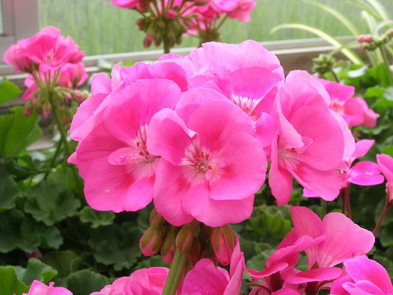DSCN5644_调整大小.JPG