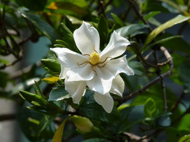 P1220158_调整大小.JPG
