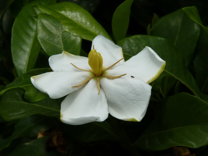 P1230140_调整大小.JPG