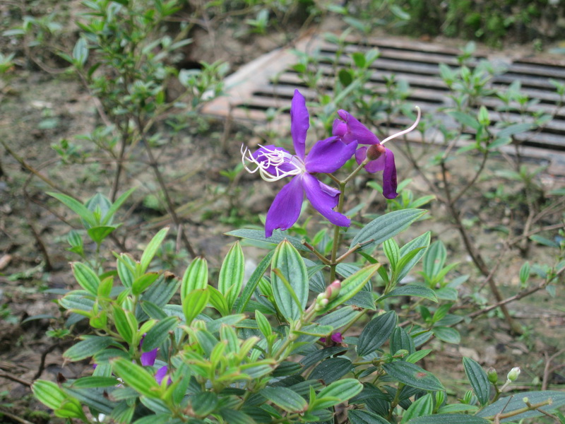 IMG_0774_调整大小.JPG IMG_0774_调整大小.JPG