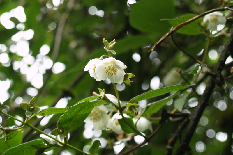 P6302926_调整大小.JPG P6302926_调整大小.JPG