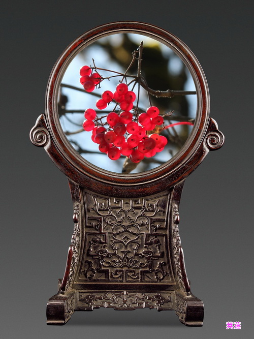 8 荚蒾_调整大小.jpg