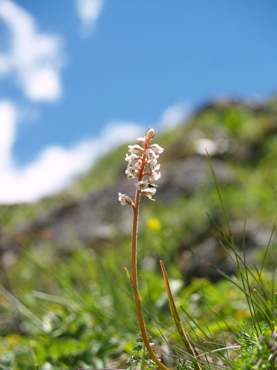 P6272356_调整大小.JPG