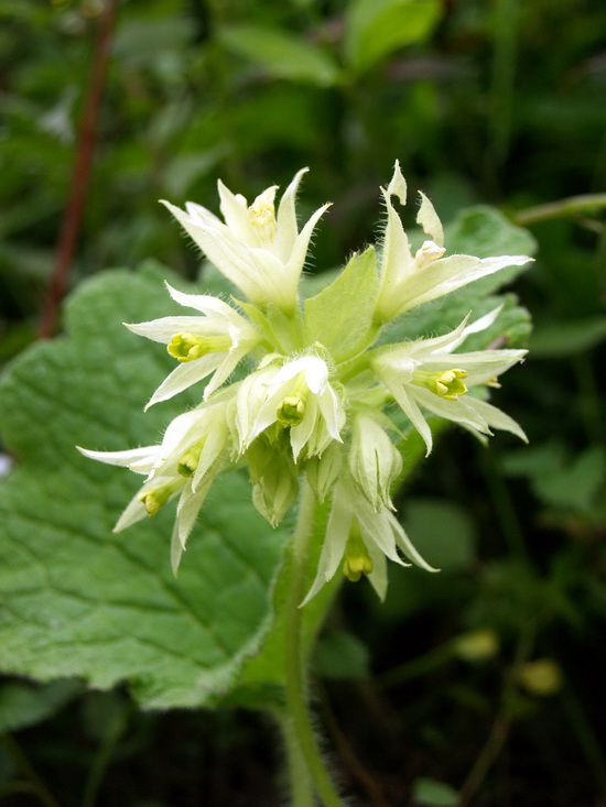 P5300660_调整大小.JPG