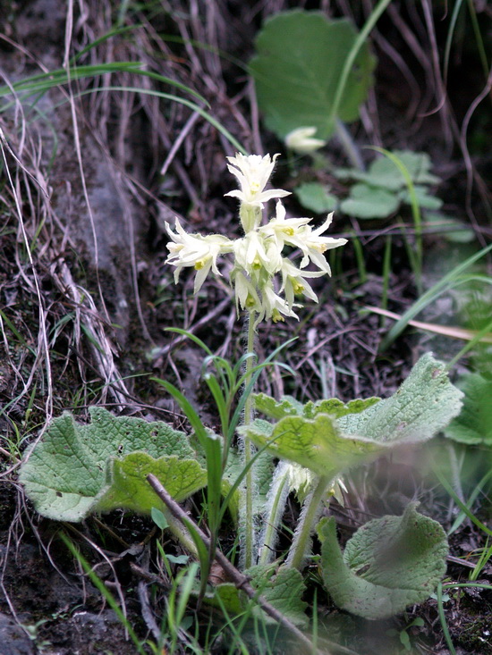 P5300645_调整大小.JPG