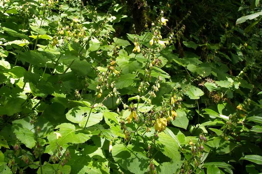 P8148408_调整大小.JPG