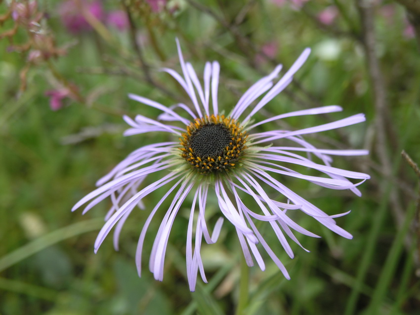 P8155005_调整大小.JPG