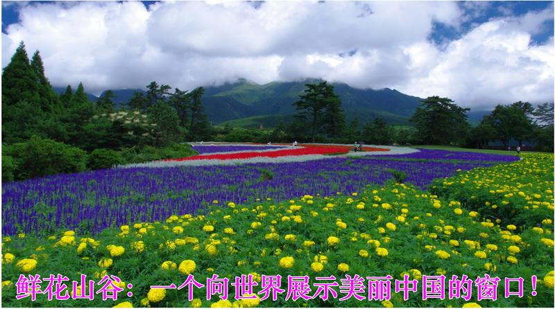 1_调整大小.jpg