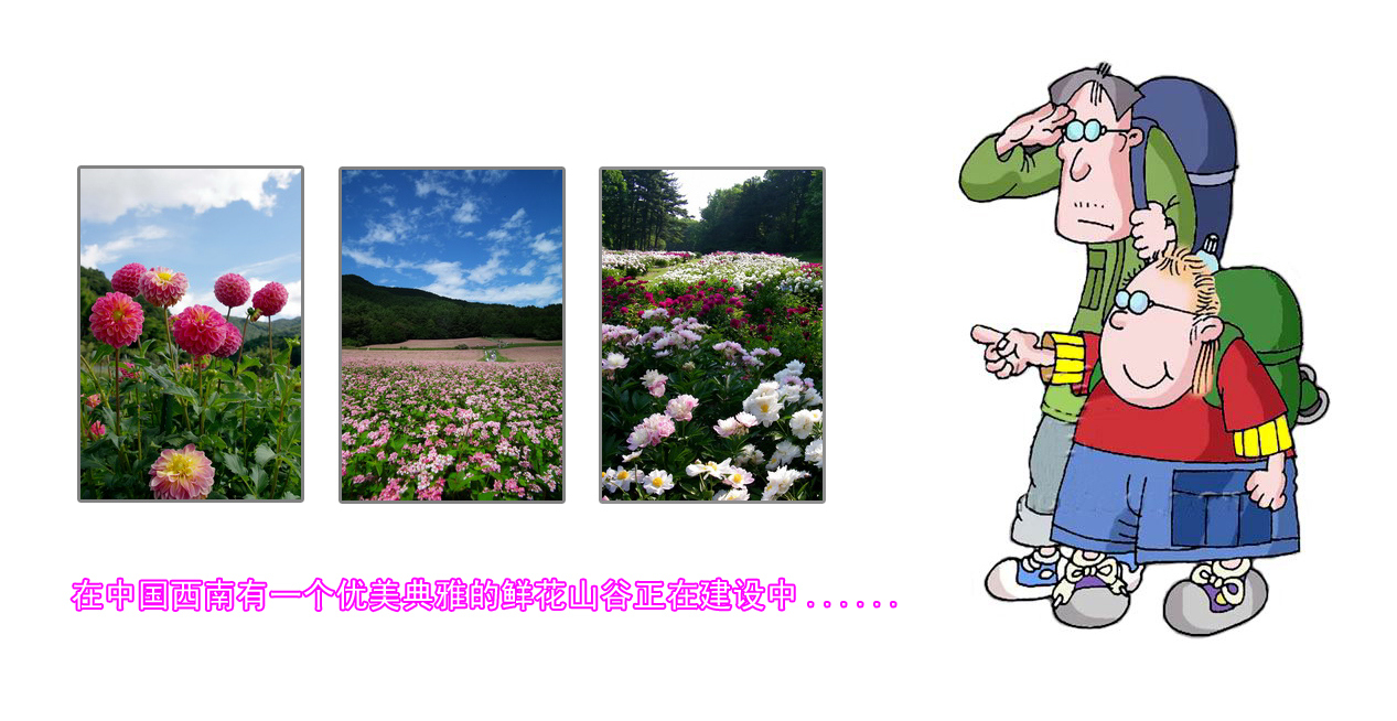 002.jpg