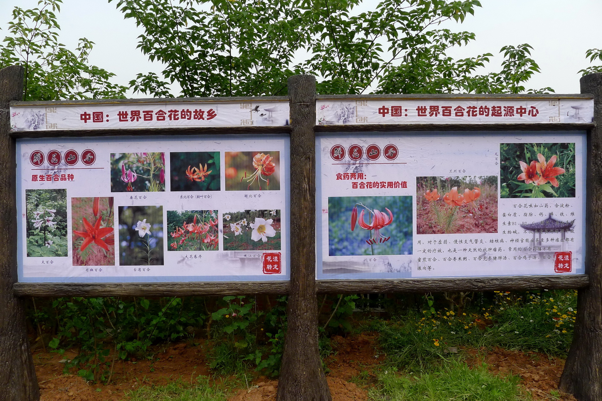 5_调整大小.JPG