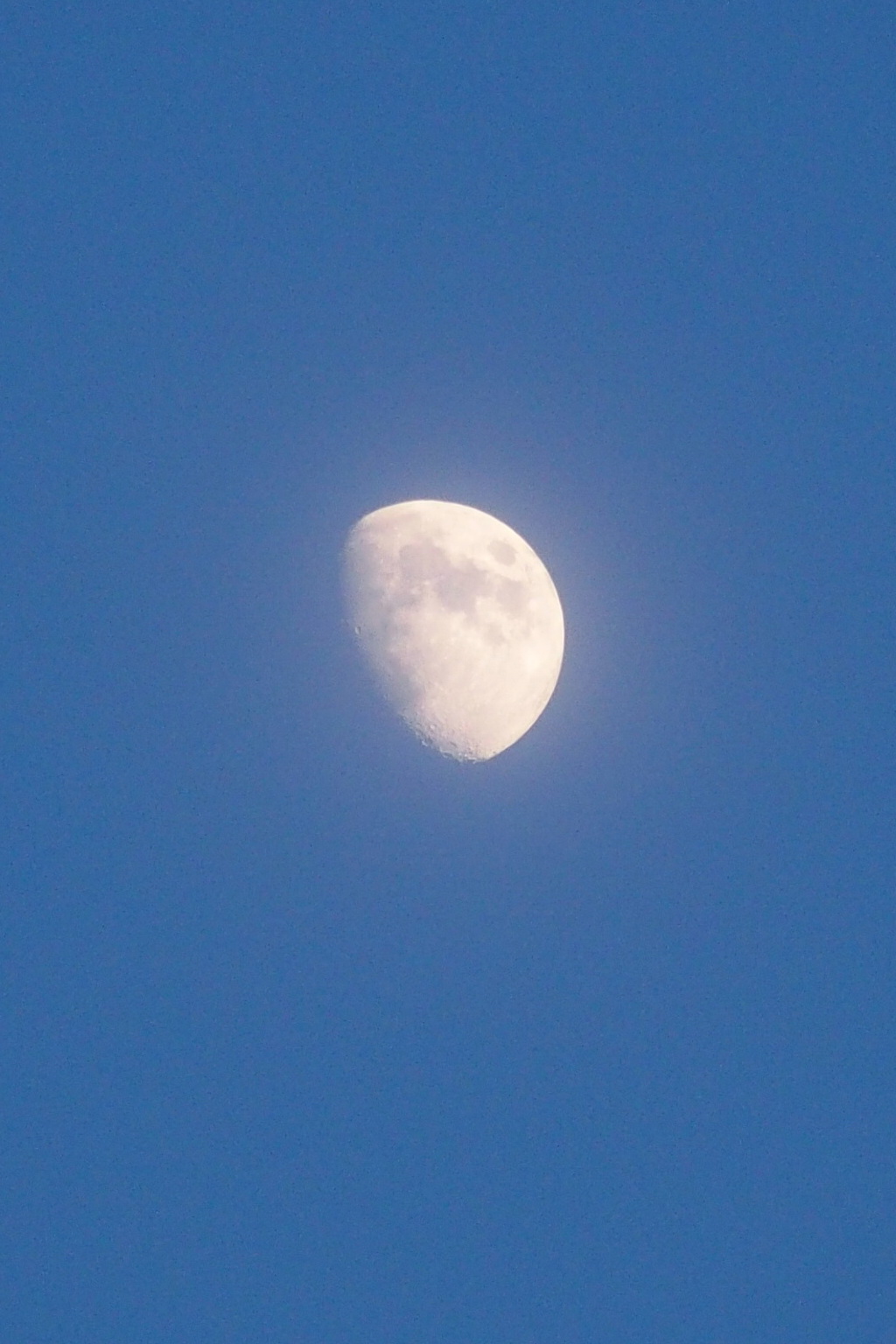 P7220145.JPG