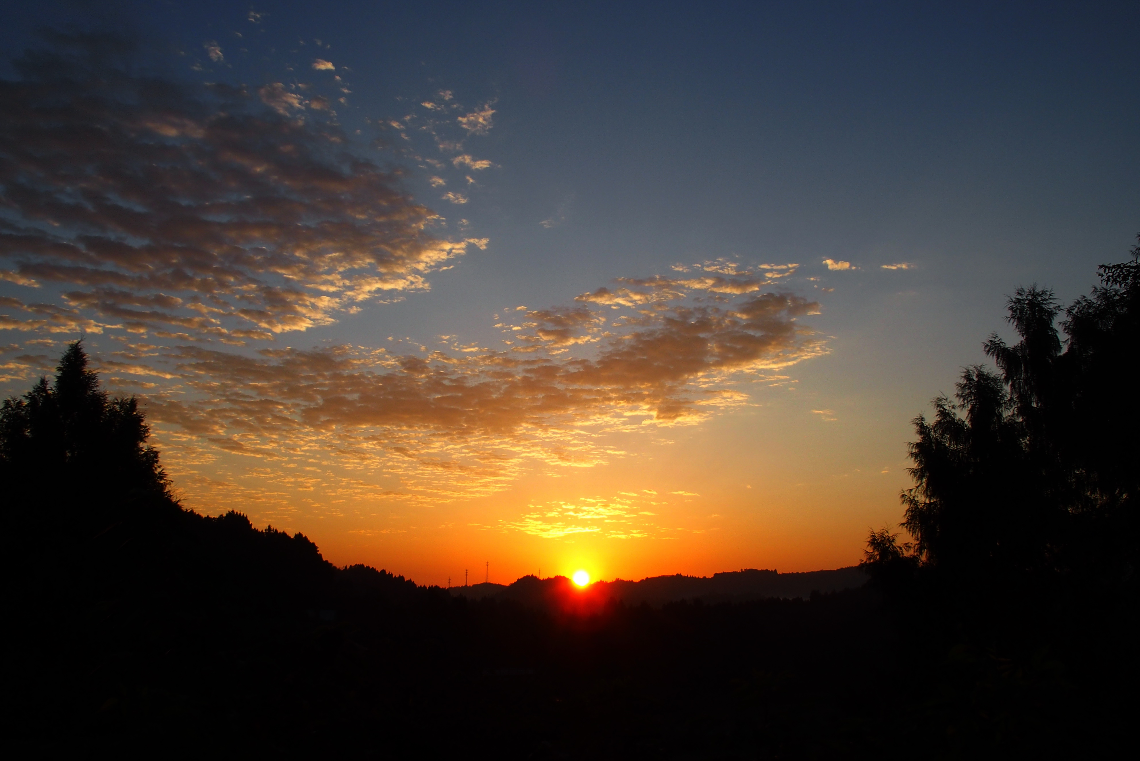 P8100080.JPG