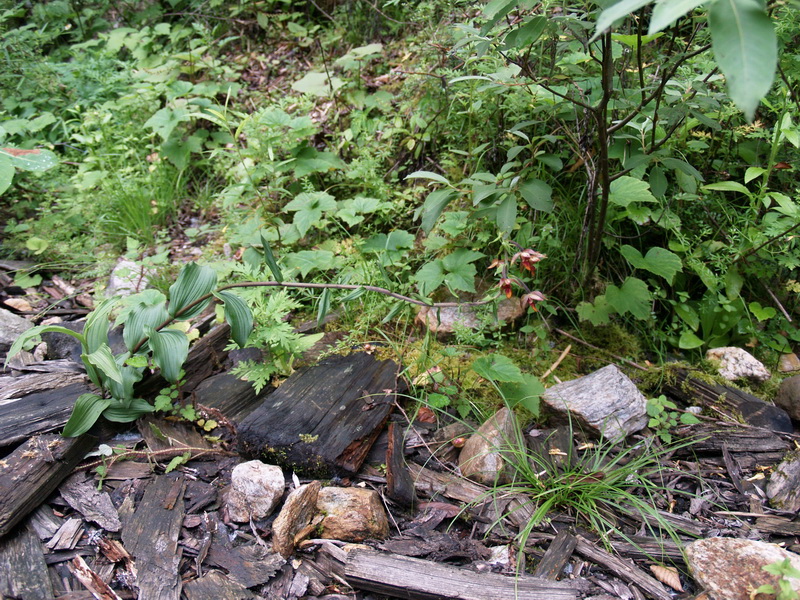 P7205540_调整大小.JPG