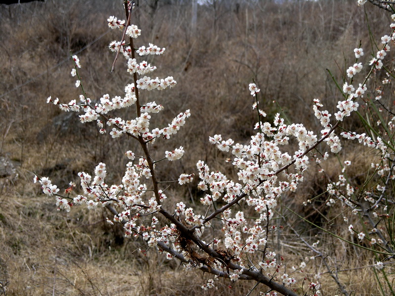 P2212016_调整大小.JPG