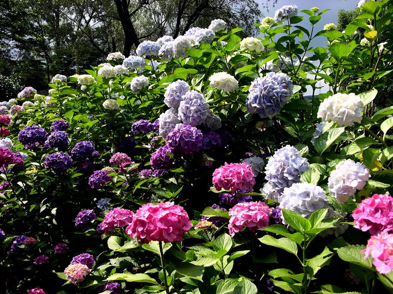 6064c1cb1ae16368f21fe795_调整大小.jpg