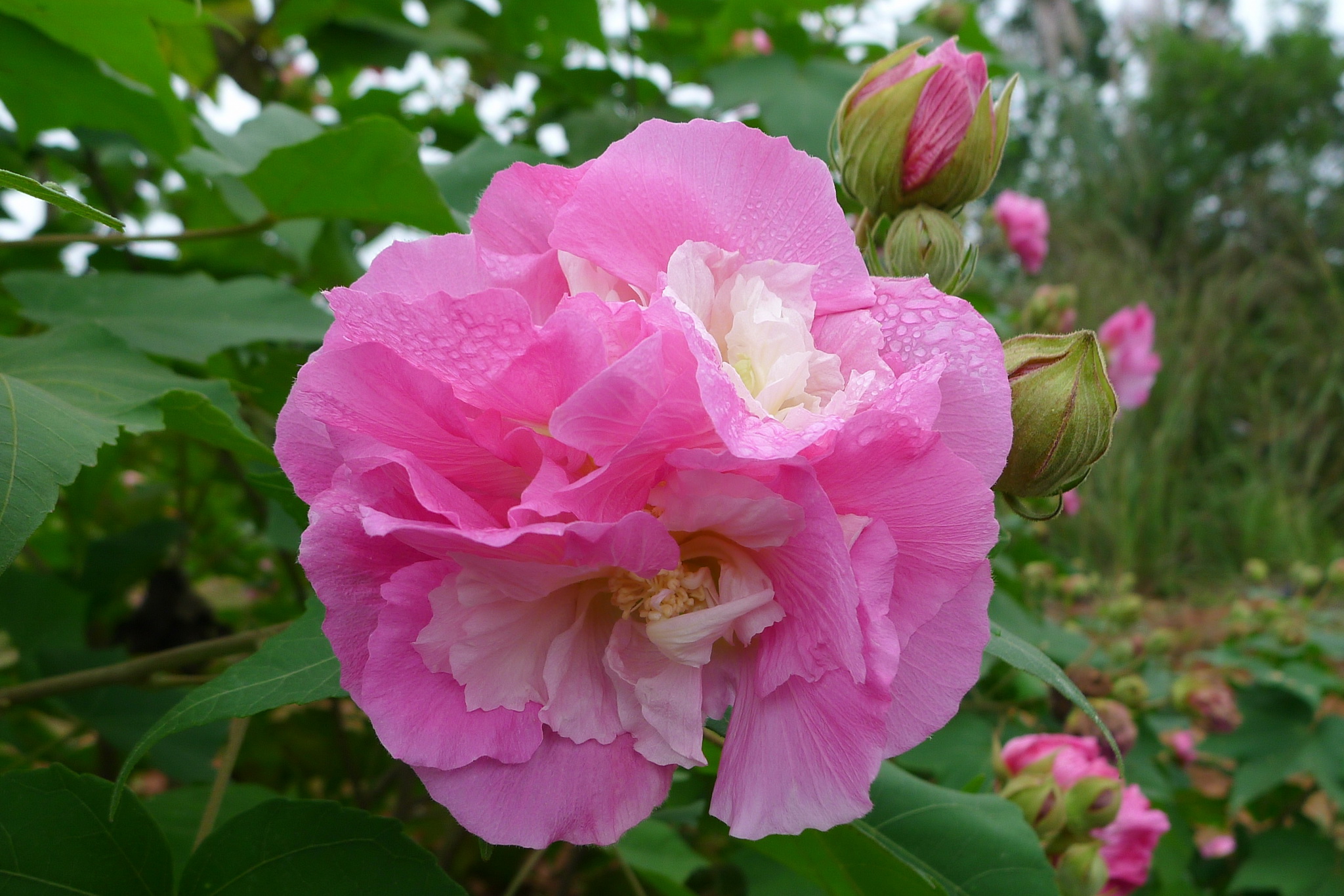3.JPG